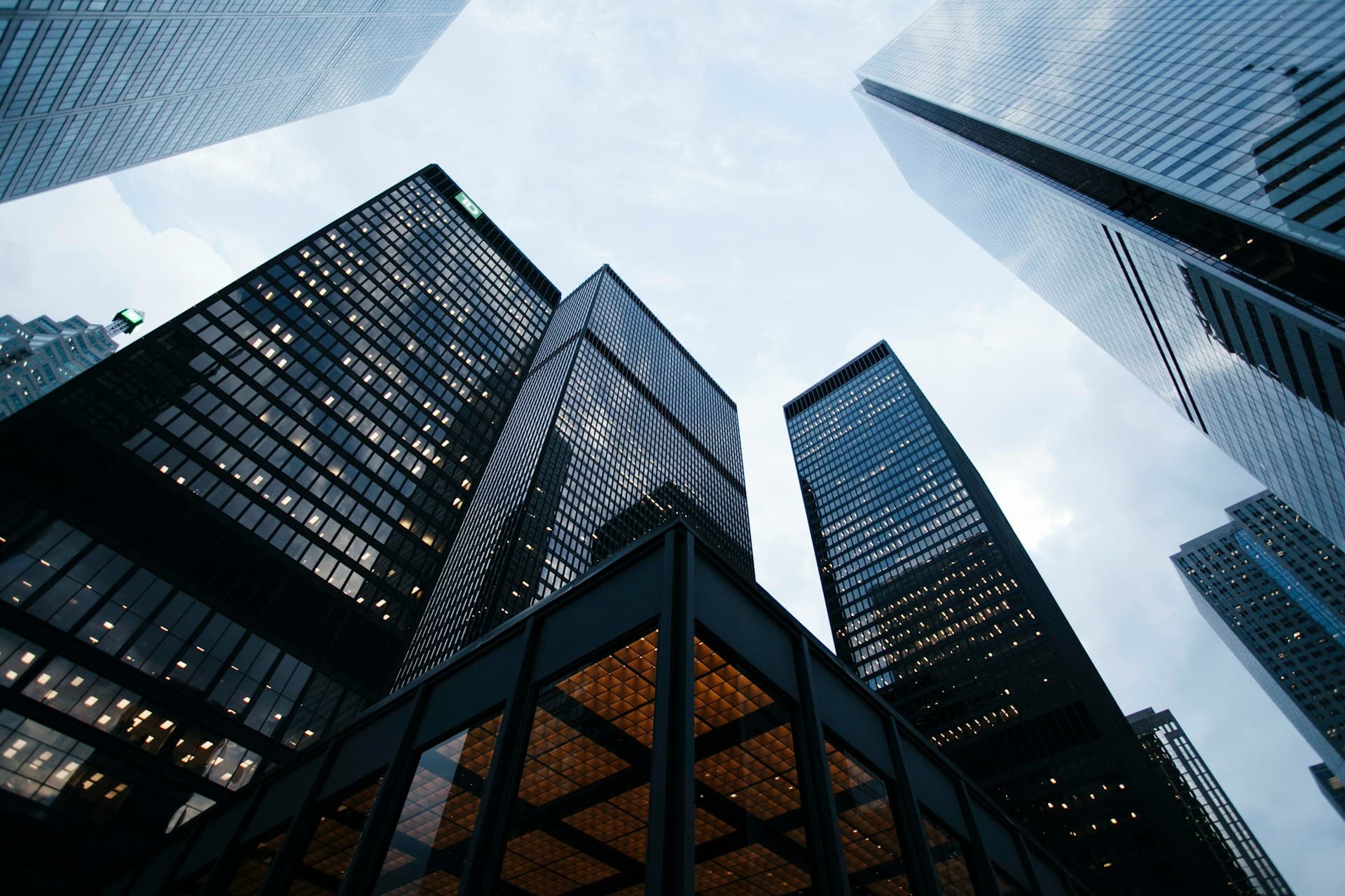 Yi Legacy Ventures - Family Office